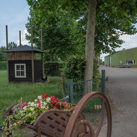 De Dorsvloer Apartamento Drimmelen Exterior foto