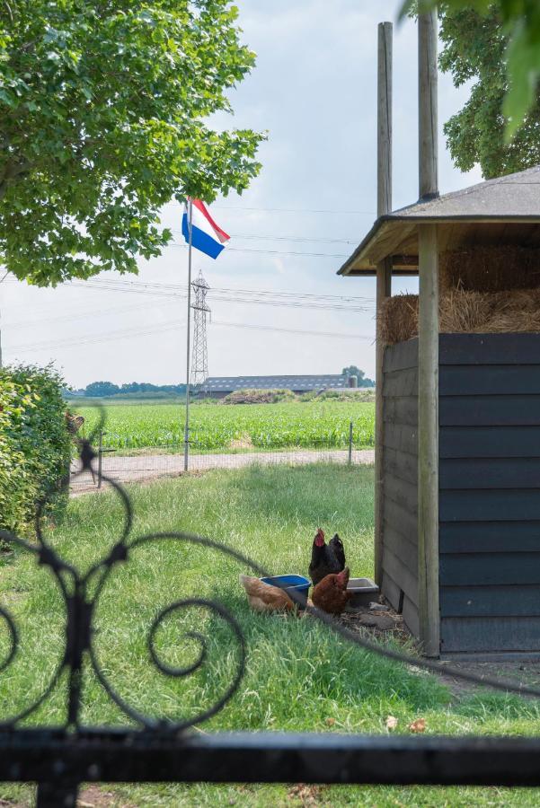 De Dorsvloer Apartamento Drimmelen Exterior foto